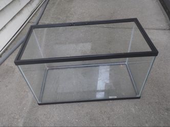 10 Gallon Fish Tank