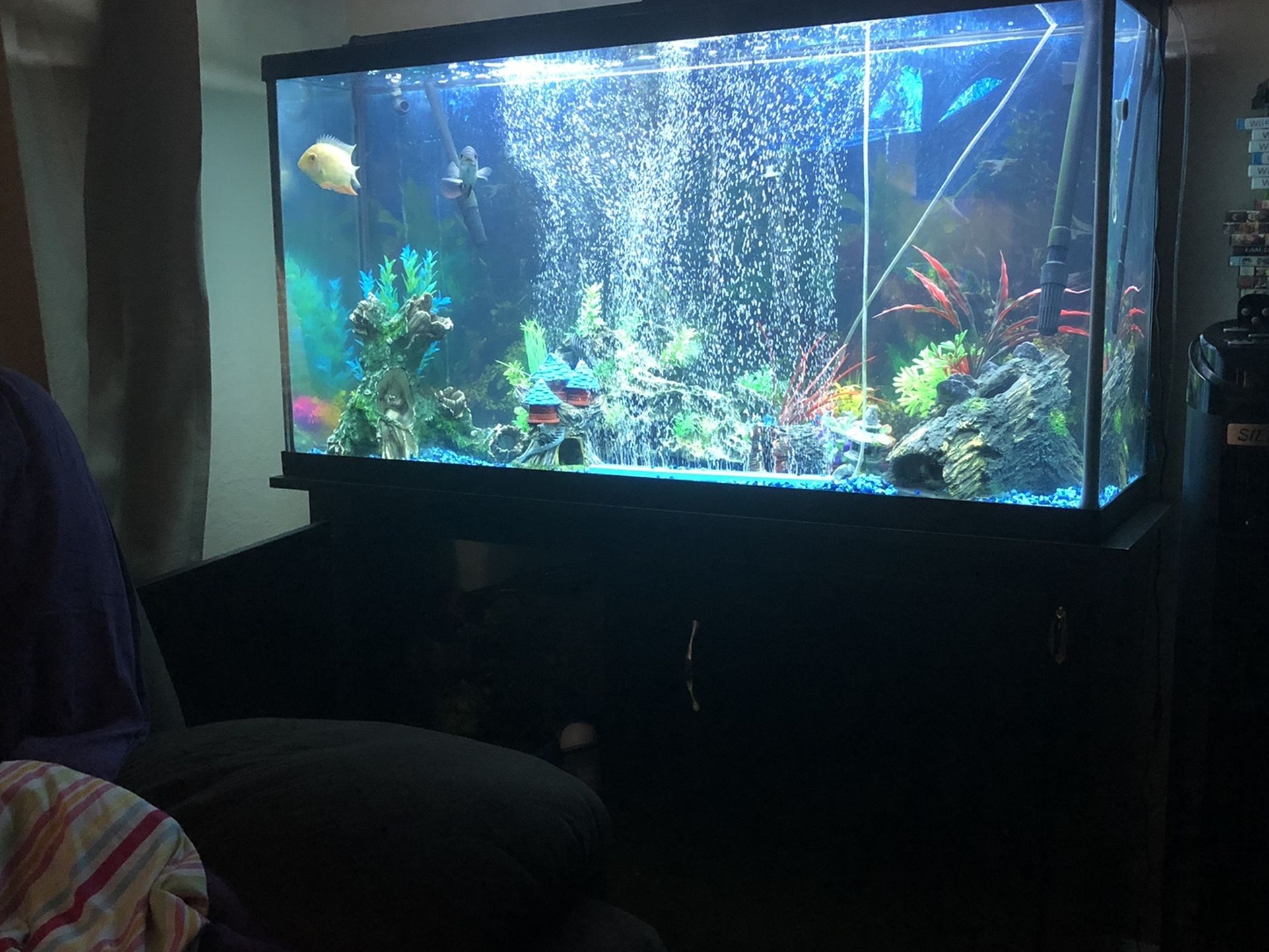 55 Gallon Fish Tank With Everything Needed To Start Right Away!