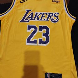 LeBron James Los Angeles Lakers Jerseys 