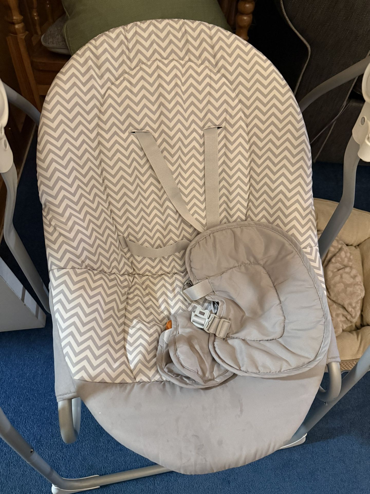 Baby Bouncer and Swing