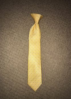 Boys Clip on tie