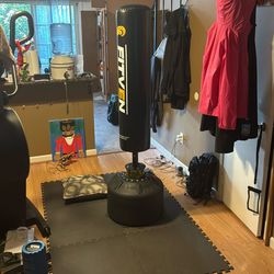Stand-Up Punching Bag