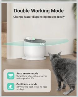 Pet water fountain