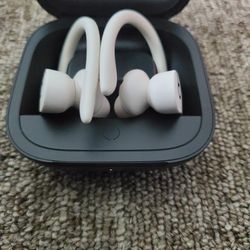 Apple Beats by Dr. Dre Powerbeats Pro  Totally Wireless Earphones - Glacier