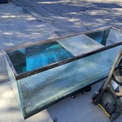 Fish Tank