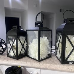 Black Lanterns With White Flowers Petals 