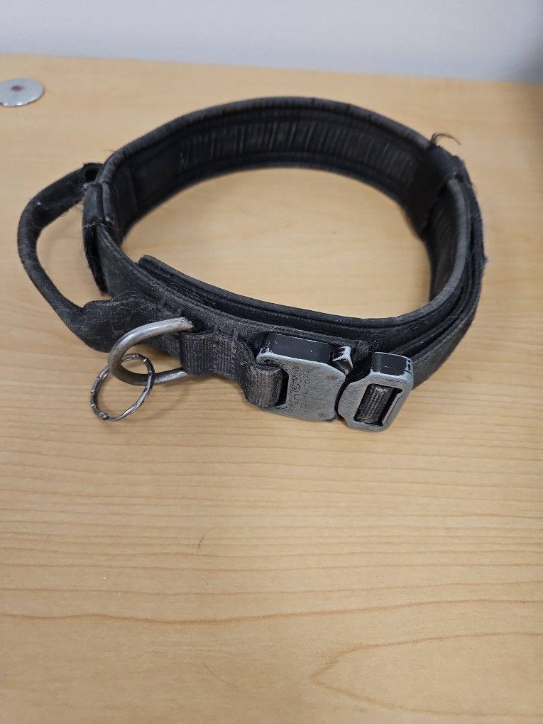 Dog Collar. Free 
