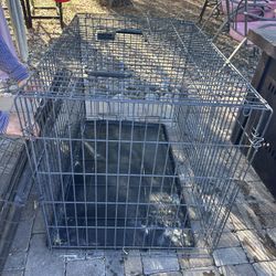 Dog Crate 