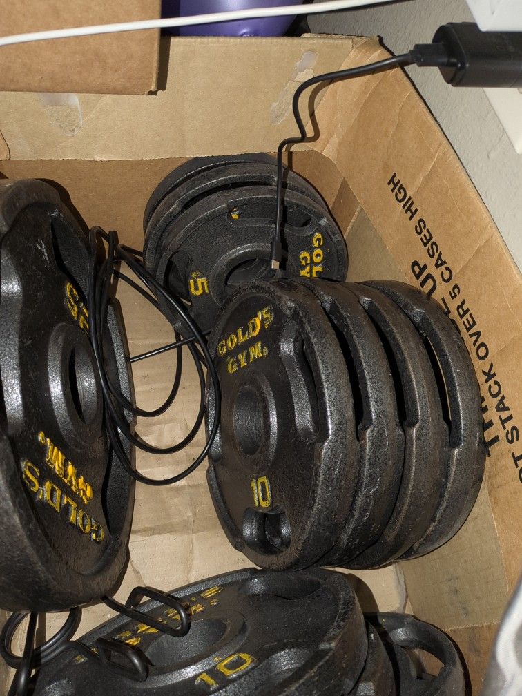 Barbell And Plates