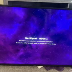 50 Inch Flat Screen Tv VIZIO