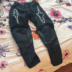 Alpine stars Pants