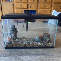Fish Tank