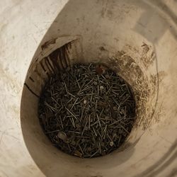 Roofing Nails