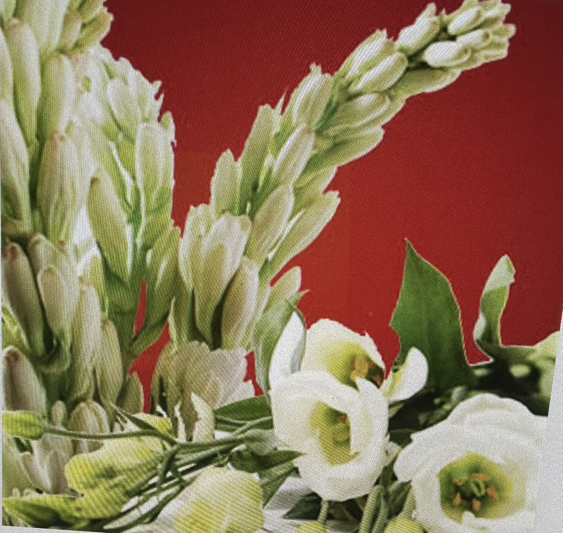 Tuber Rose Body Fragrance Oil 2 oz.