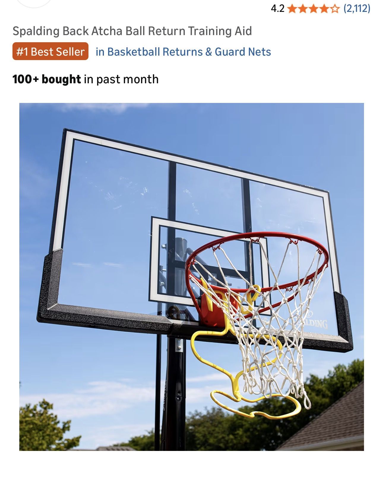 Spalding Back Atcha Ball Return