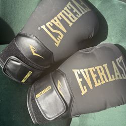 Boxing Gloves – Barely Used – Great Condition
