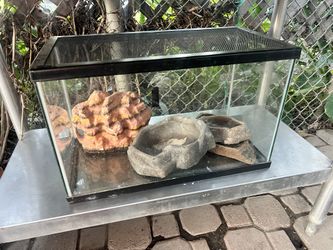 Reptile Tanks