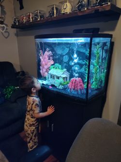 Fish tank