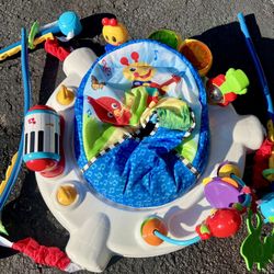 Baby Einstein baby jumper