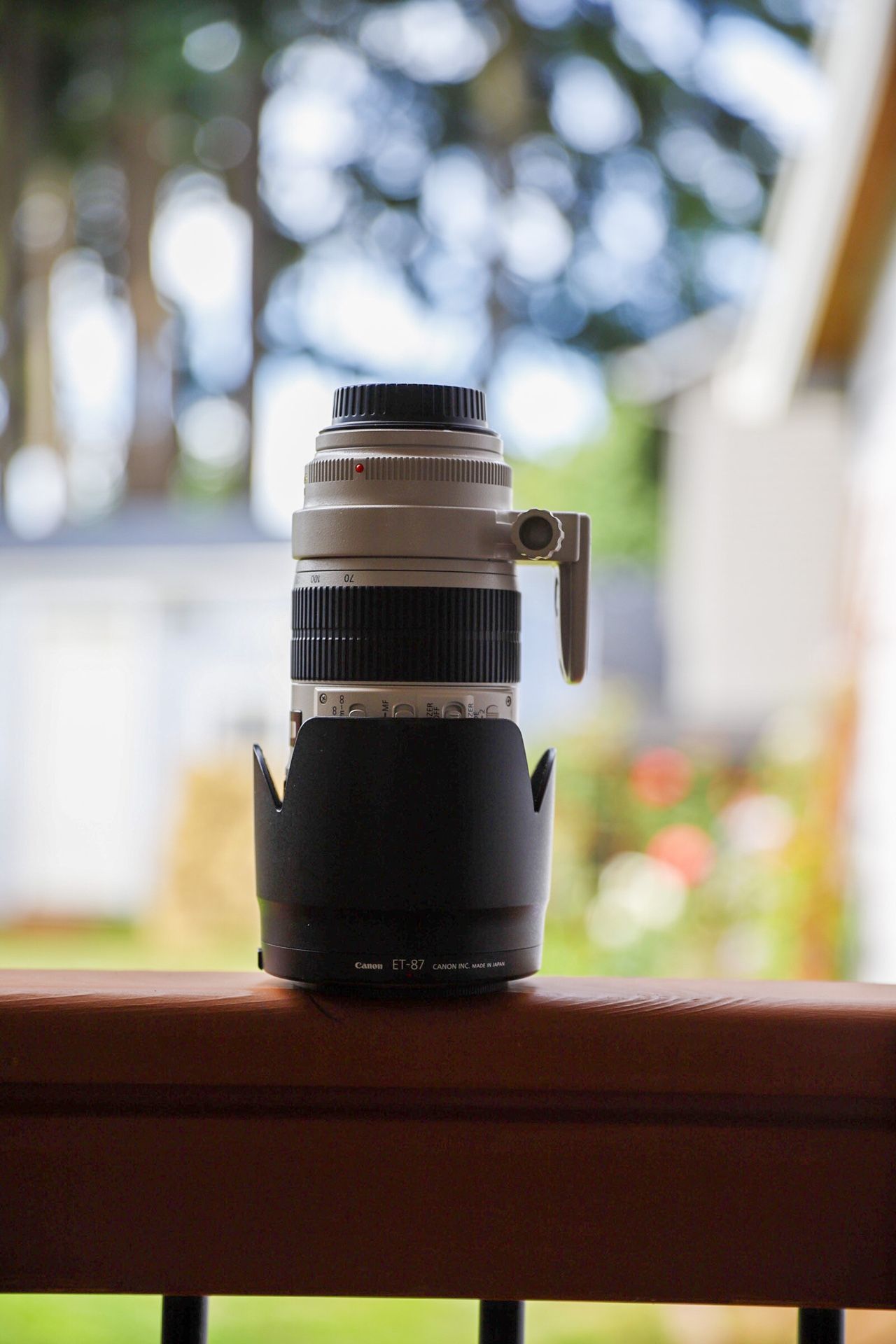 Canon 70-200mm 2.8 ii with IS
