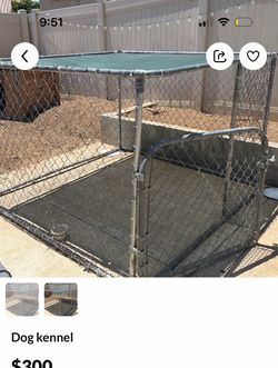 Kennel dog