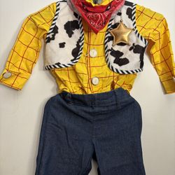 Woody Costume