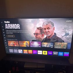 Vizio M-Series Quantum X (4K HD)