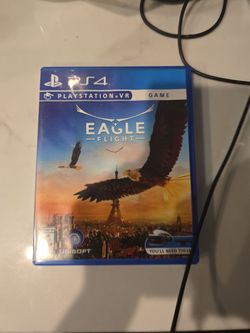 Eagle flight