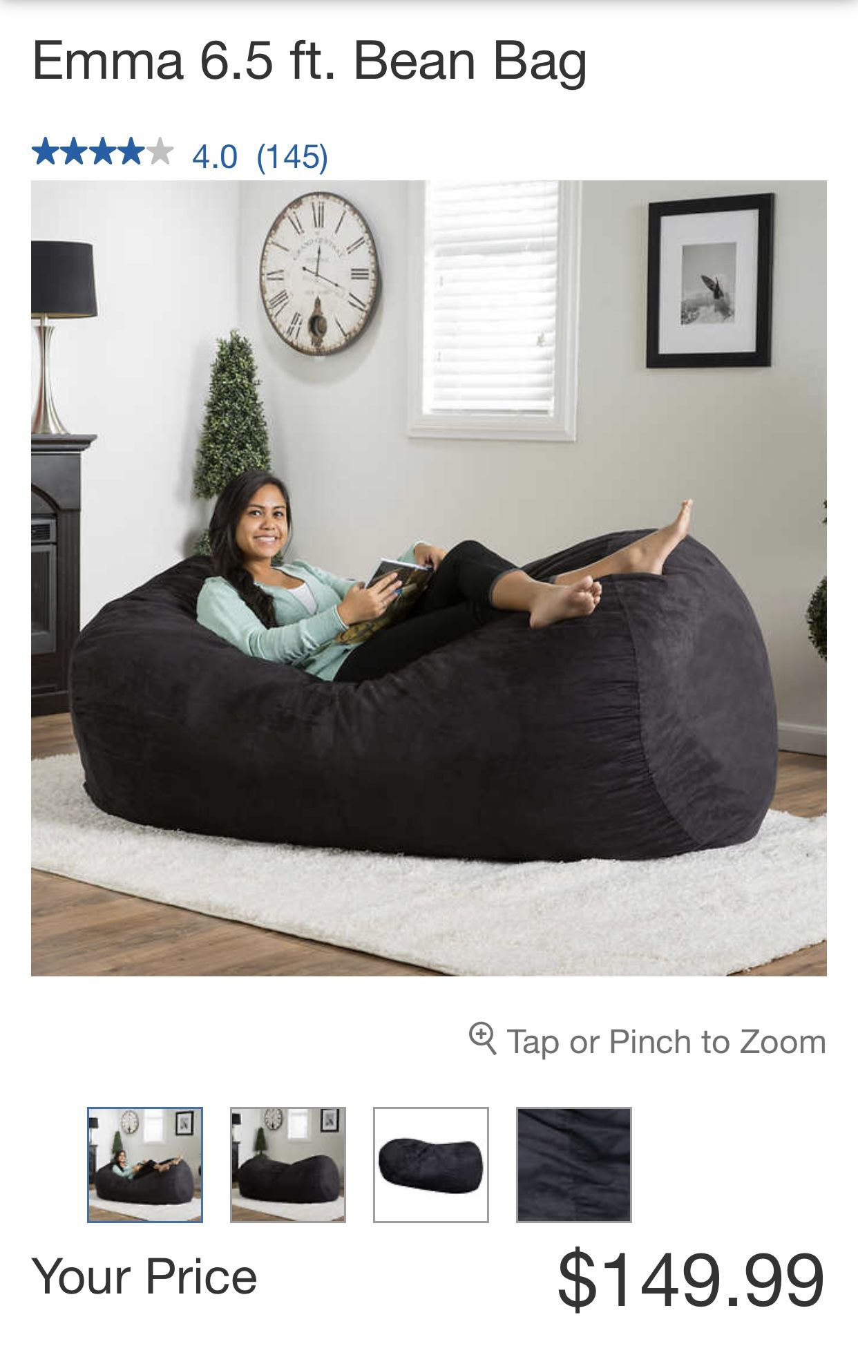 Large Bean Bag, Bought From Costco