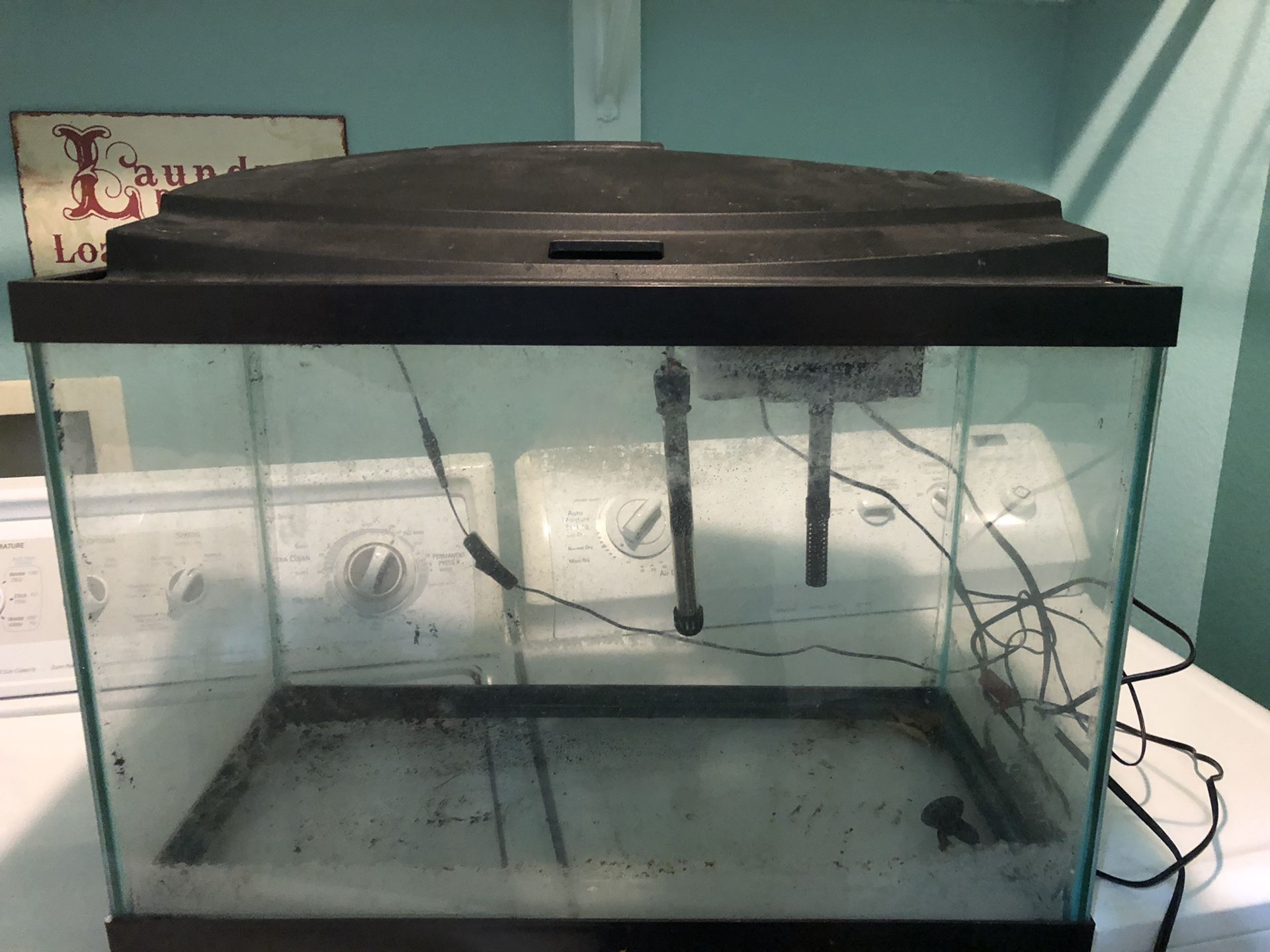 Lot of aquarium and supplies