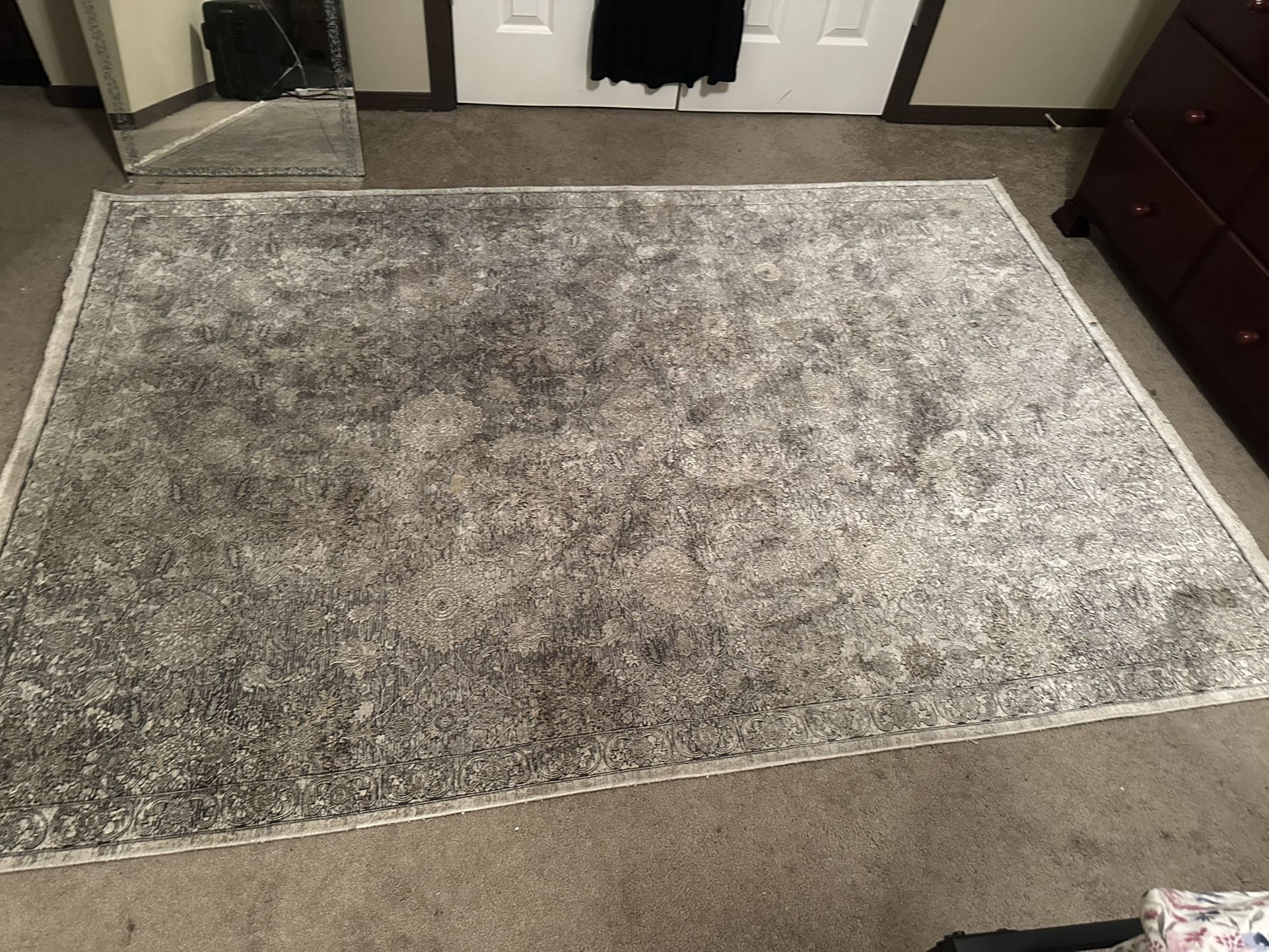 Sarrant Feizy 5x7 Rug
