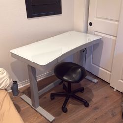 Adjustable Electric Standing Desk 