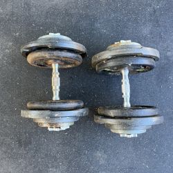 55lb Adjustable Dumbbell Set 1in Weights 