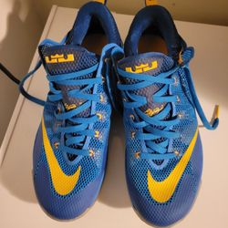 Lebron  Nike 12 Low