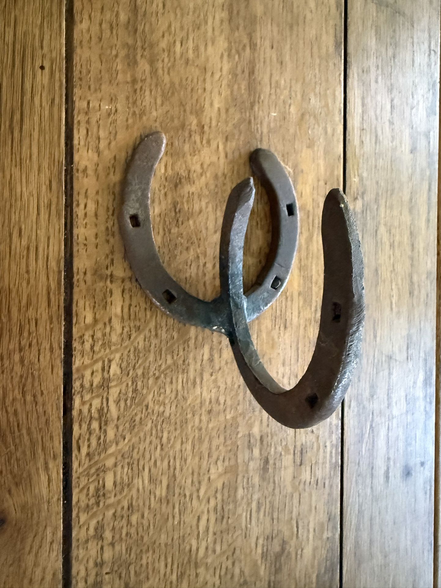 Horseshoe Coat Rack/ Hanger