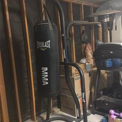 Everlast Punching And Speed Bag 