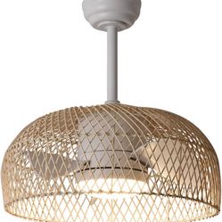 Ceiling Fan 