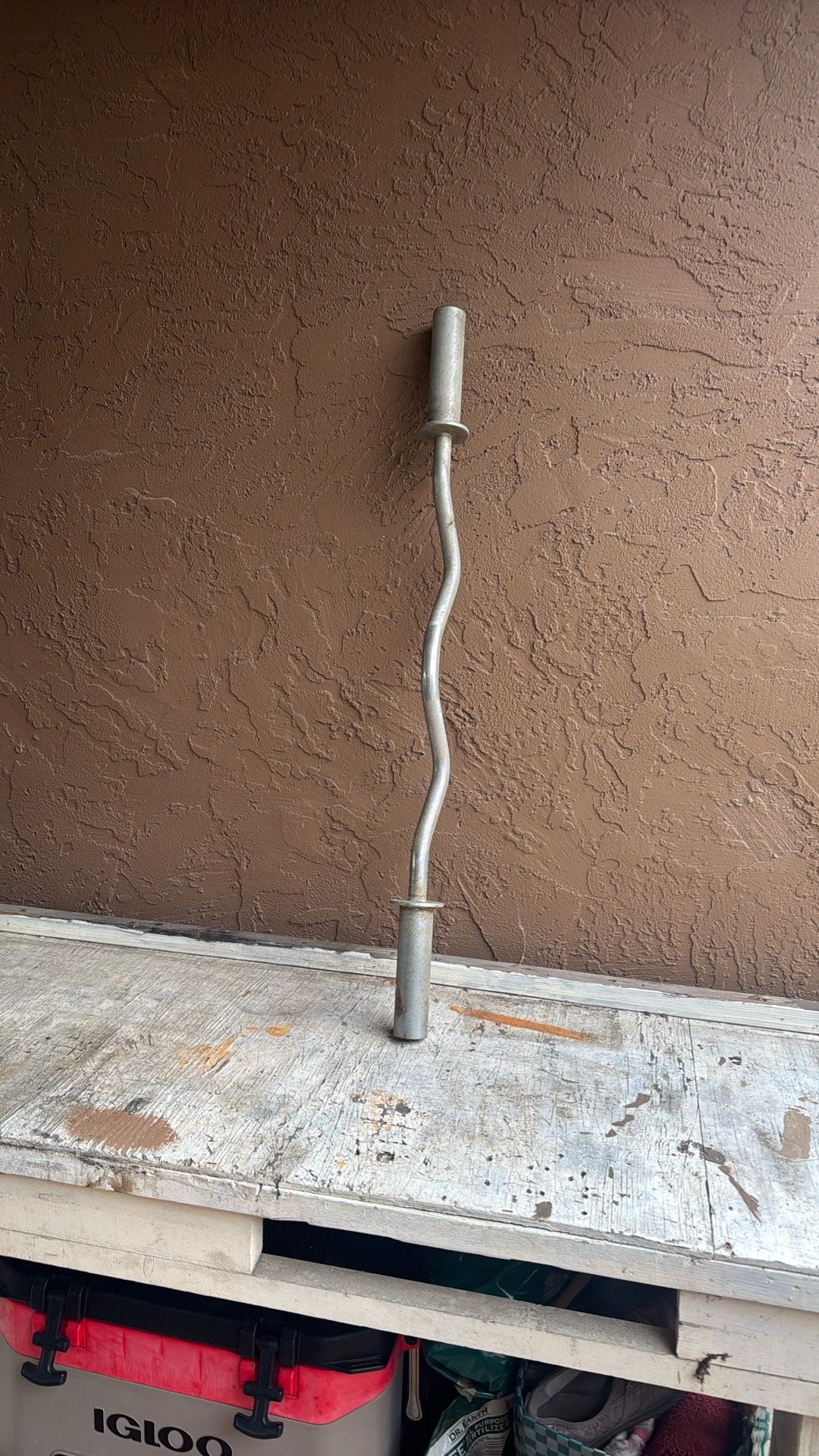 Curl Bar