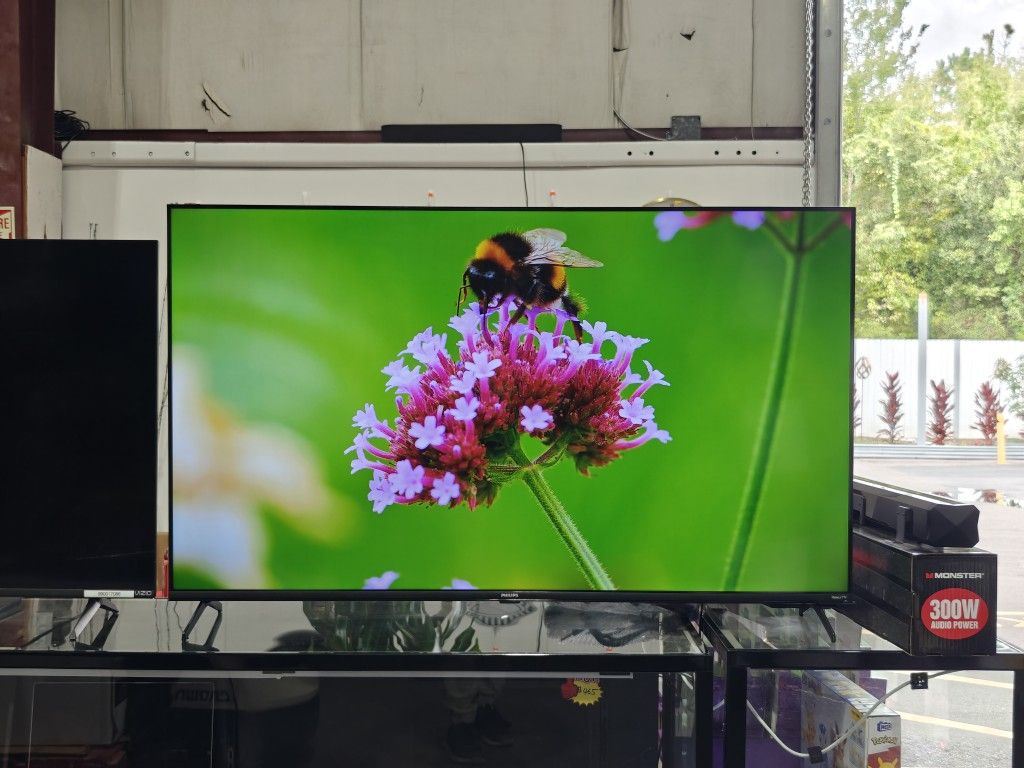 Philips 55" 4K UHD Roku Smart TV