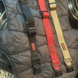 Dog Collar Accessories 