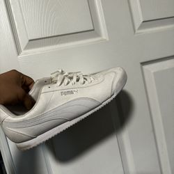 Pumas 