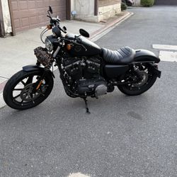 2022 Harley Davidson Iron 883
