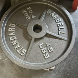 45 LB Weights