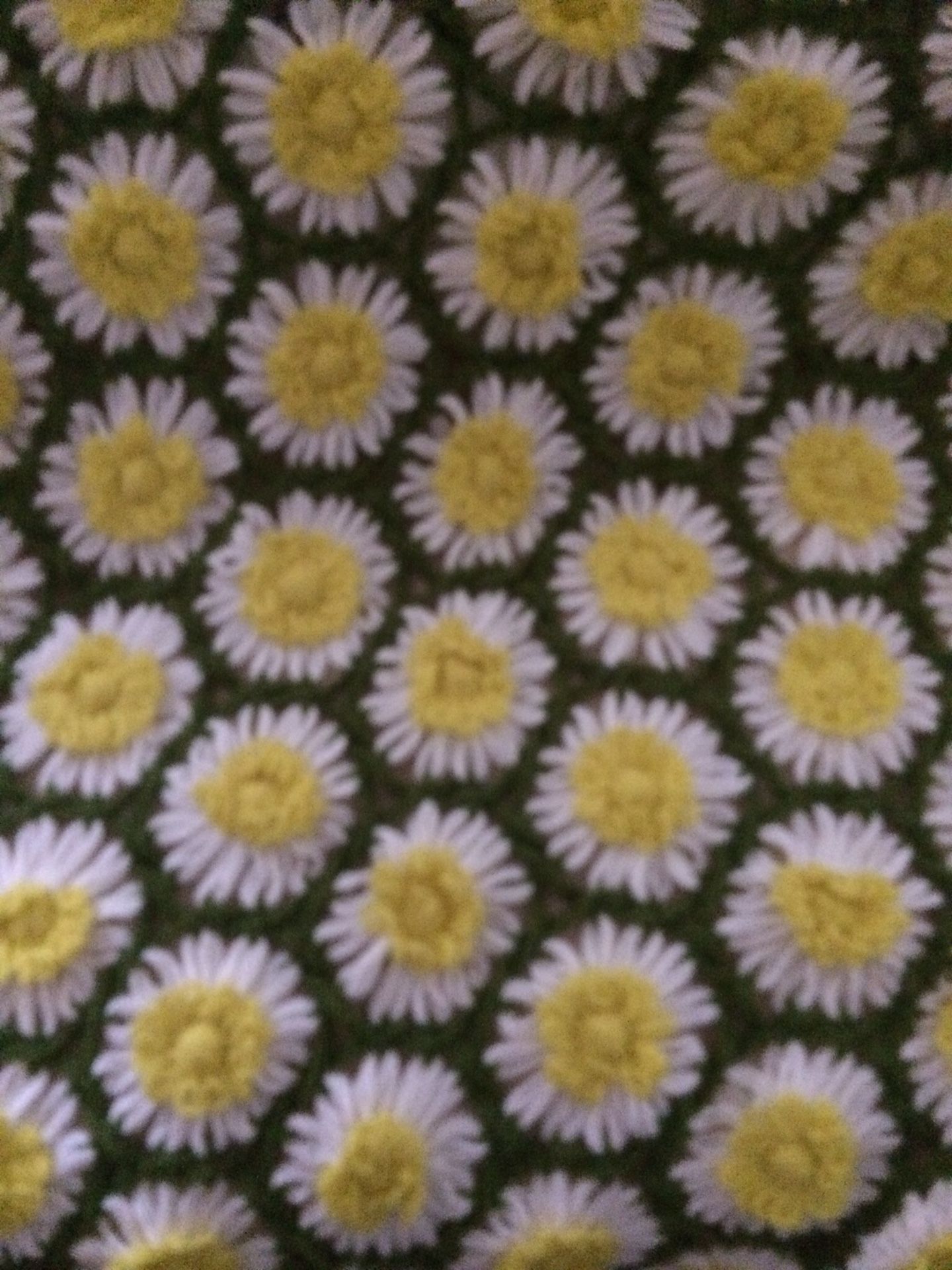 New Afghan