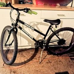 Mountain Bike As 80