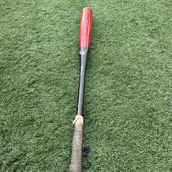 Bat 
