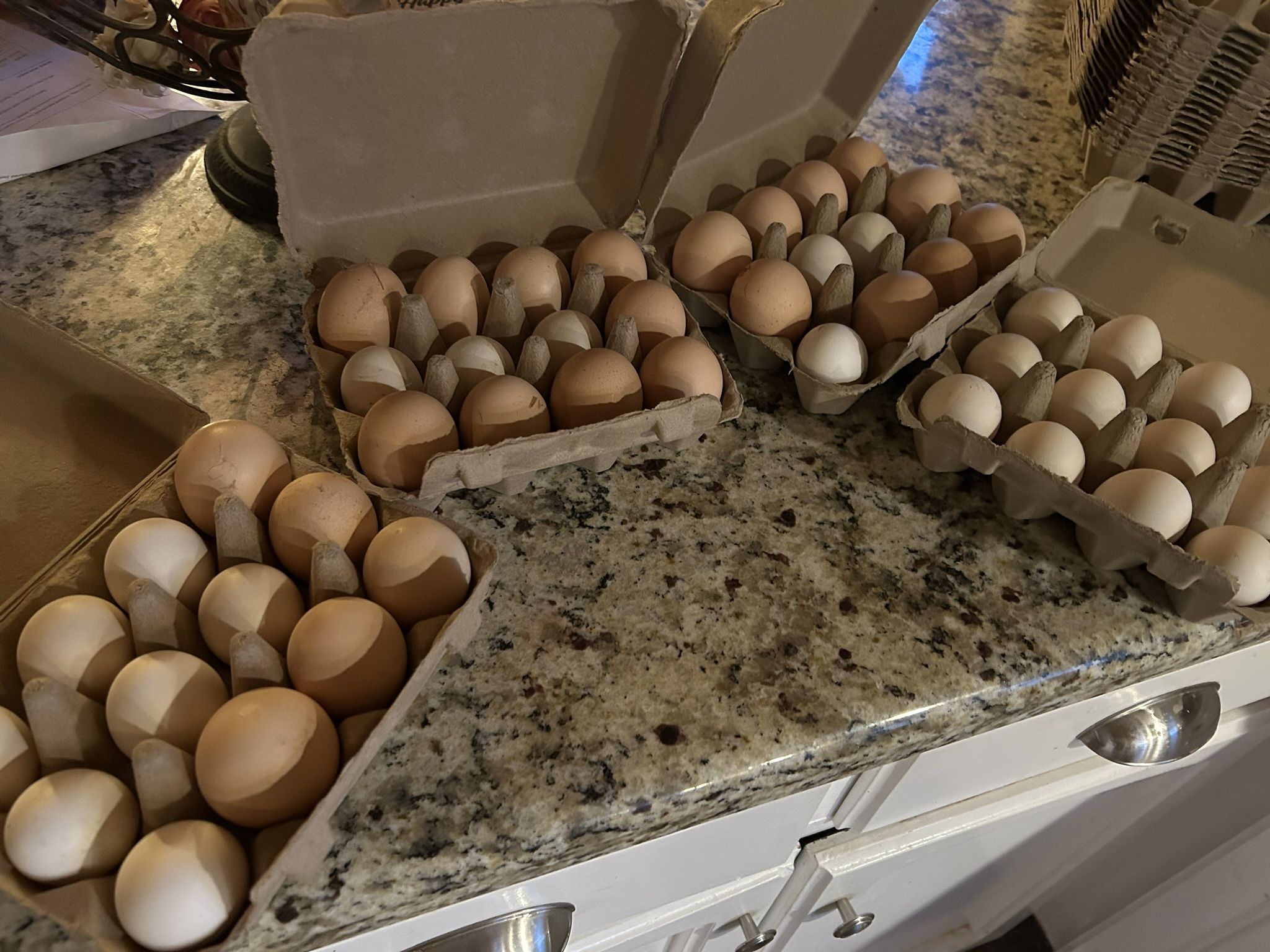 Farm Fresh Eggs