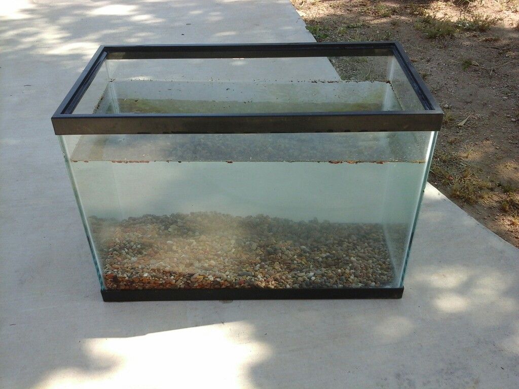 10 gal fish tank 15$