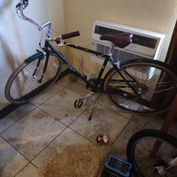 Forrest Green Public 7 Speed Cruiser 