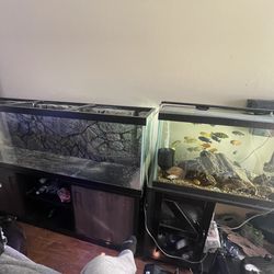 125 Tank And Stand Fx6